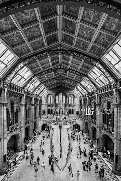 London Interior Photographer